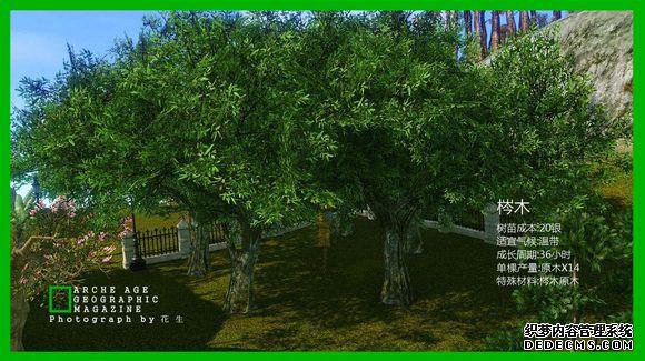 ɳ˽ľٿͼİ֮
